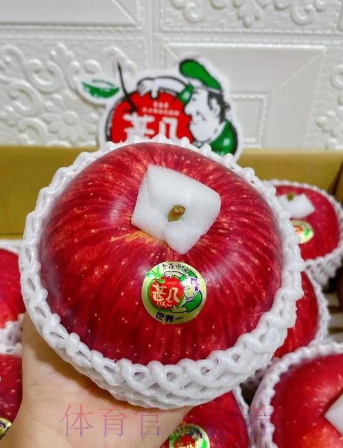 世界杯外围苹果最佳 世界杯外围苹果最佳